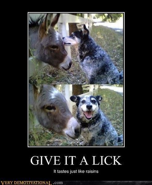 demotivators_picdump_640_02