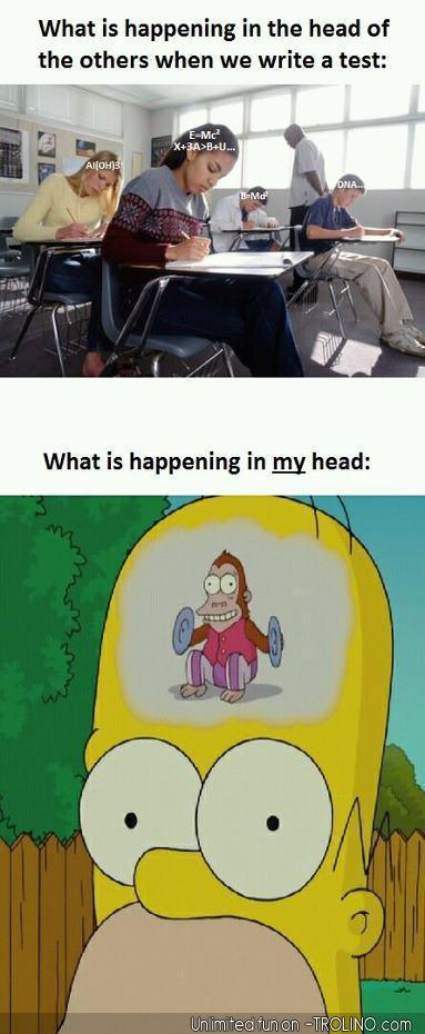 148891_534628836552182_1267835893_n