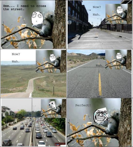 537722_445191845541894_1909122263_n