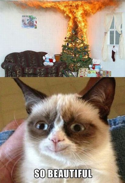 PUBLISHED by catsmob.com