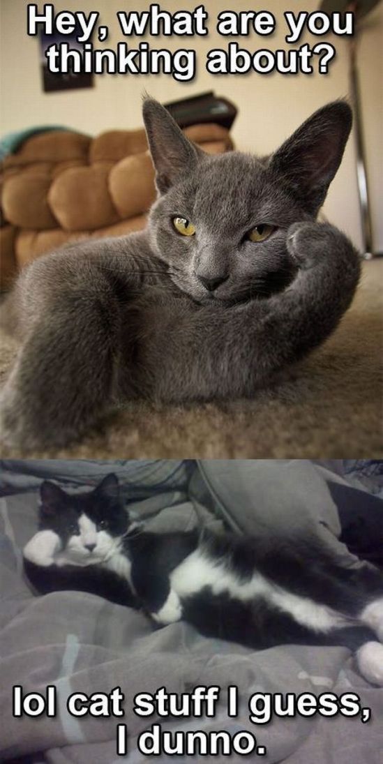 daily_picdump_1113_640_high_79