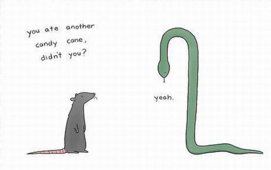 daily_picdump_1116_640_82