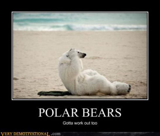 demotivators_picdump_341_640_03