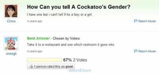 pics_day_awsmblssm00027