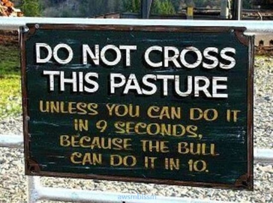 pics_day_awsmblssm00047