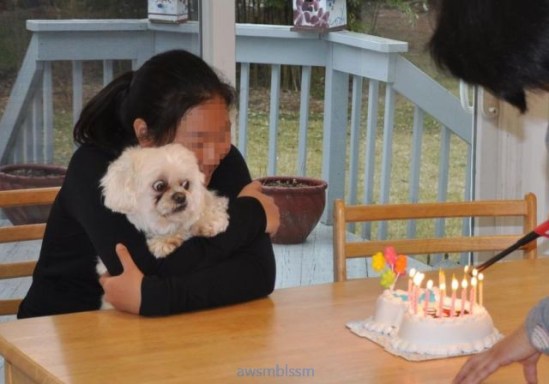 pics_day_awsmblssm00066