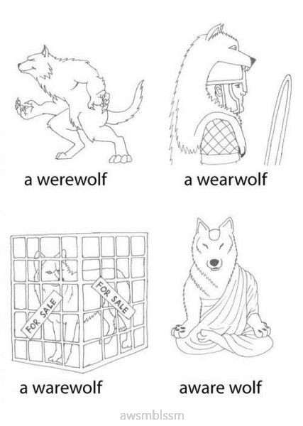 pics_day_awsmblssm00120