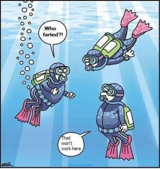 pics_day_awsmblssm00129