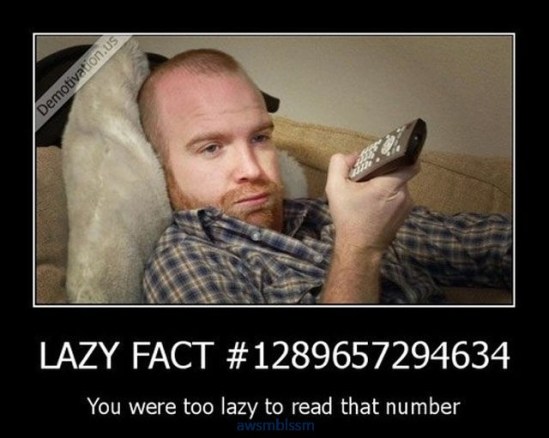 pics_day_awsmblssm00217