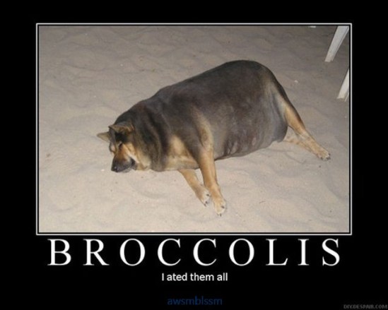 pics_day_awsmblssm00224