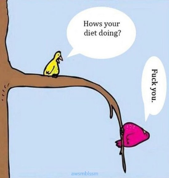 pics_day_awsmblssm00178