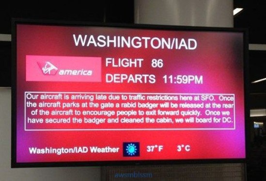 pics_day_awsmblssm00273