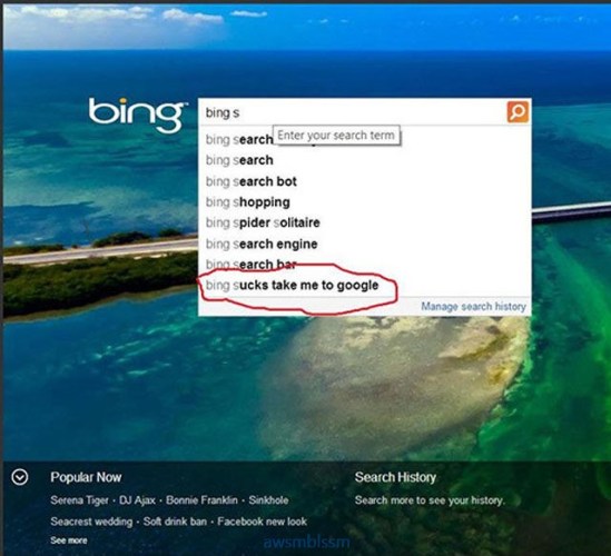 pics_day_awsmblssm00300