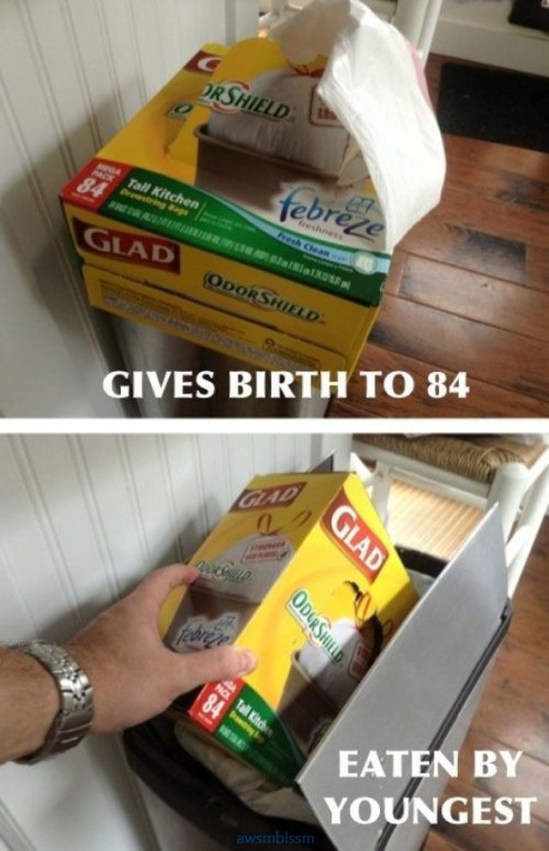 pics_day_awsmblssm00309