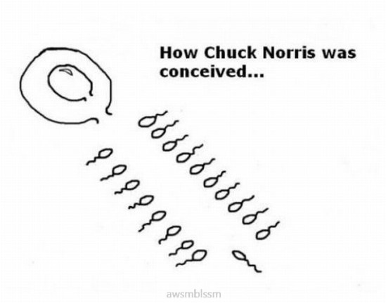 pics_day_awsmblssm00330