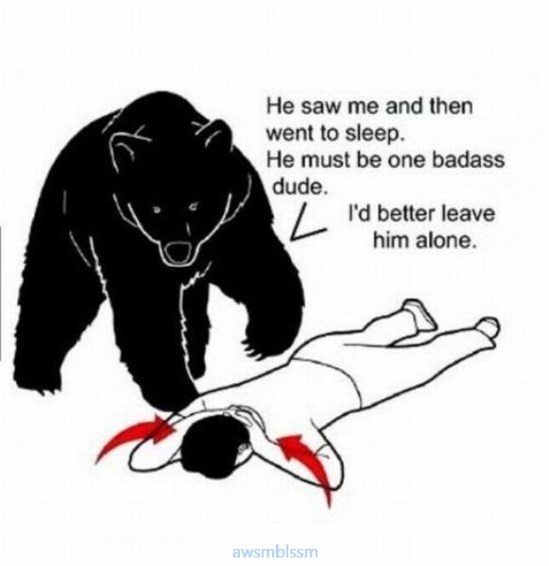 pics_day_awsmblssm00372