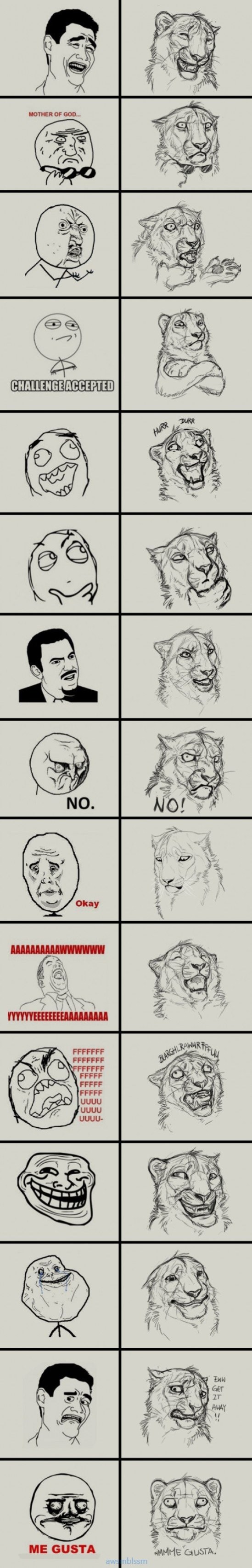 pics_day_awsmblssm00435