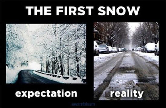 pics_day_awsmblssm00455