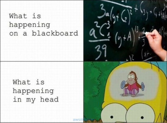 pics_day_awsmblssm00006