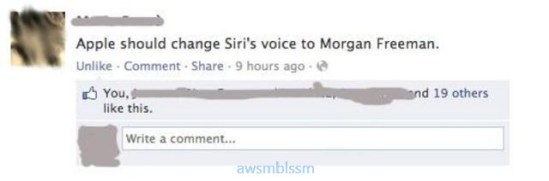 pics_day_awsmblssm00013