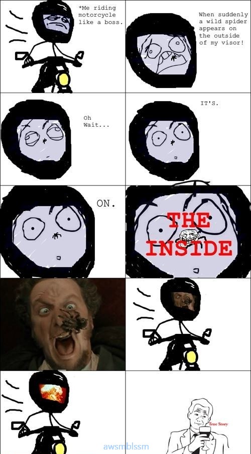 pics_day_awsmblssm00017