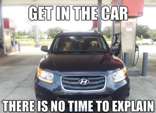 pics_day_awsmblssm00050