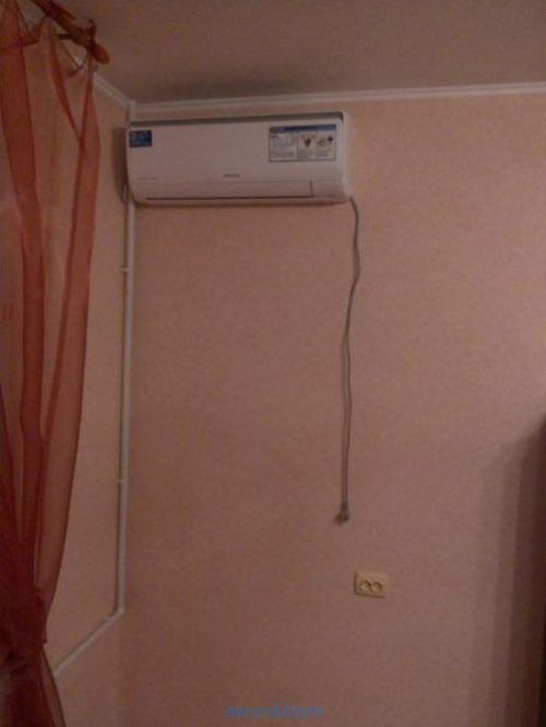 pics_day_awsmblssm00071