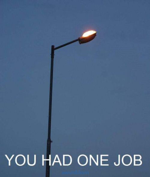 pics_day_awsmblssm00077