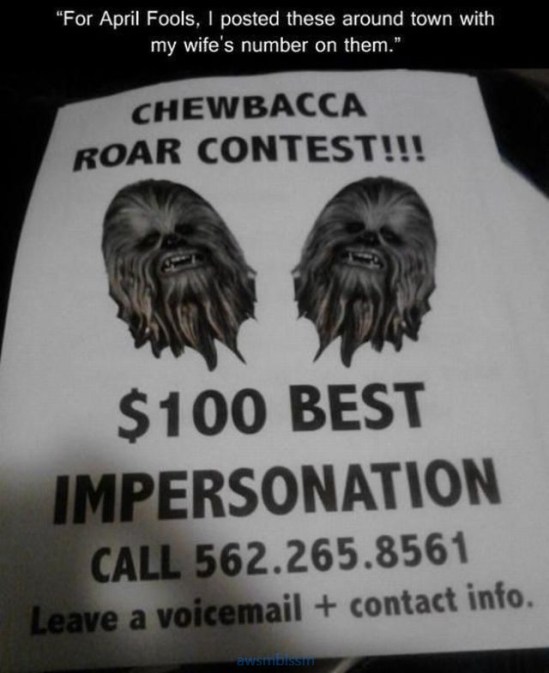 pics_day_awsmblssm00093