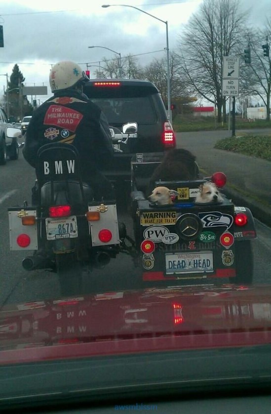 pics_day_awsmblssm00108