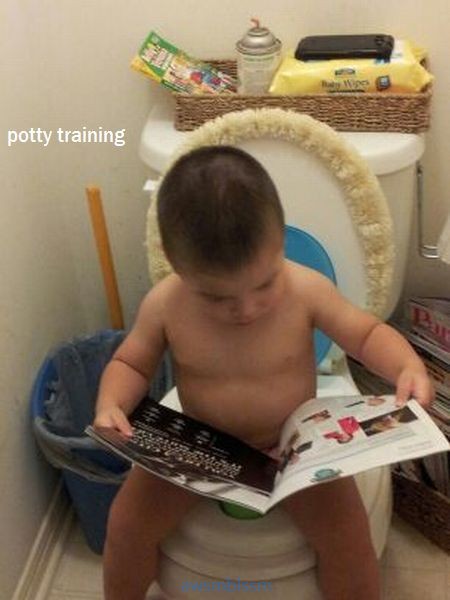 pics_day_awsmblssm00176