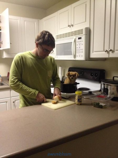 pics_day_awsmblssm00201