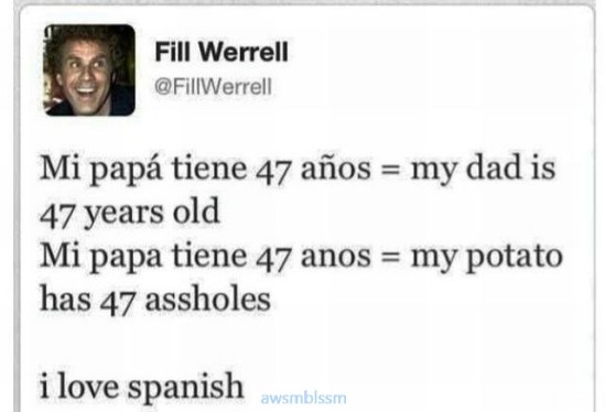 pics_day_awsmblssm00218