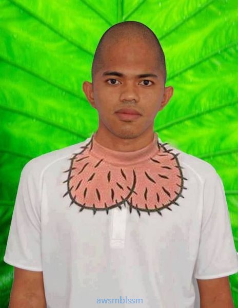 pics_day_awsmblssm00214