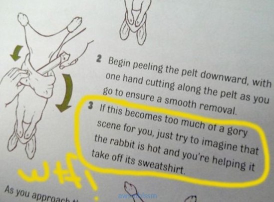 pics_day_awsmblssm00229