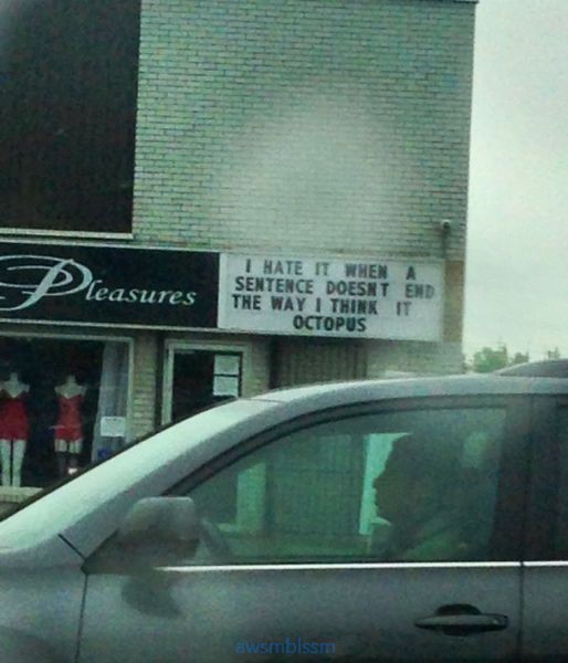 pics_day_awsmblssm00256