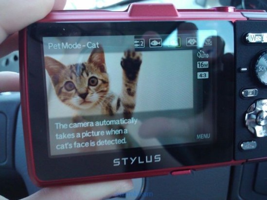 pics_day_awsmblssm00265