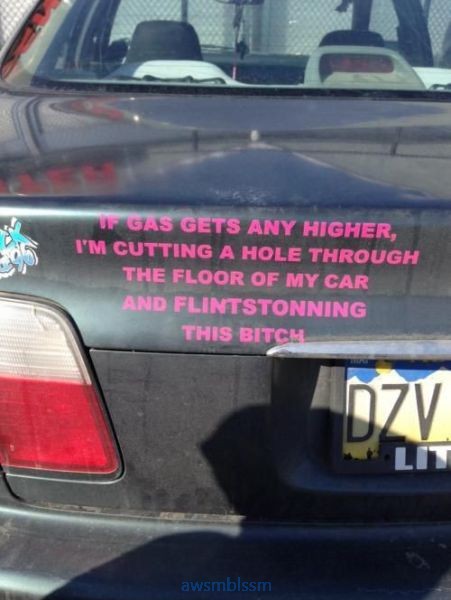 pics_day_awsmblssm00269