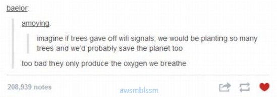 pics_day_awsmblssm00303