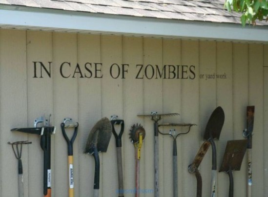 pics_day_awsmblssm00345