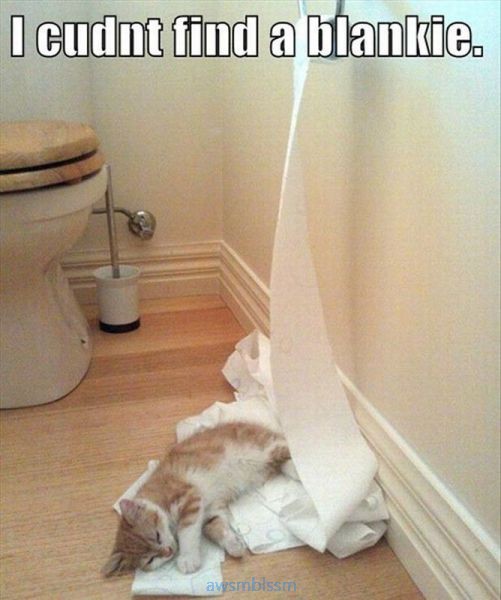 pics_day_awsmblssm00348