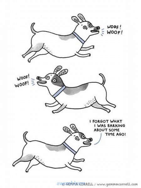 pics_day_awsmblssm00359