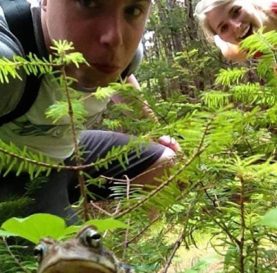 PUBLISHED by catsmob.com