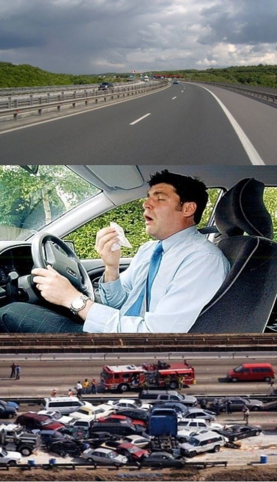 PUBLISHED by catsmob.com