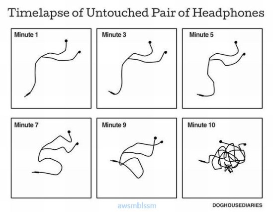 pics_day_awsmblssm00389