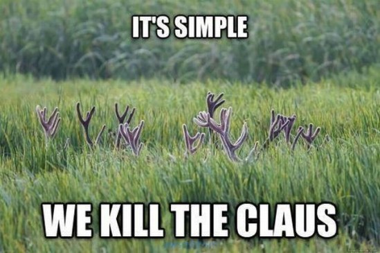 pics_day_awsmblssm00405