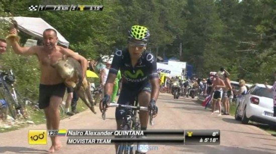 PUBLISHED by catsmob.com