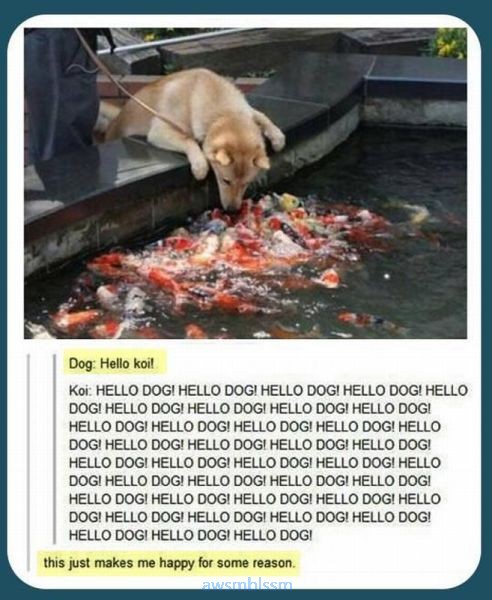 pics_day_awsmblssm00429