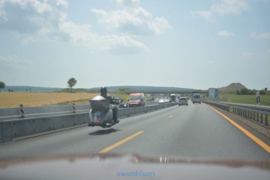 PUBLISHED by catsmob.com