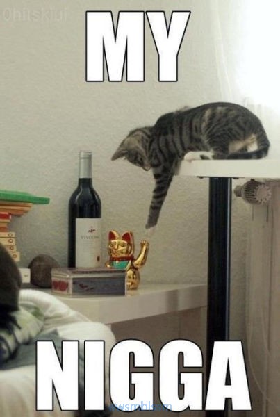 pics_day_awsmblssm00472